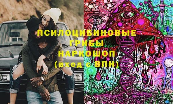 ГАЛЛЮЦИНОГЕННЫЕ ГРИБЫ Богородицк