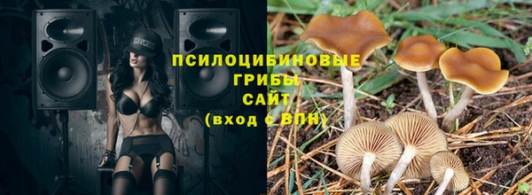 ГАЛЛЮЦИНОГЕННЫЕ ГРИБЫ Богородицк