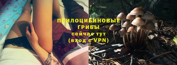 ALPHA PVP Богородск