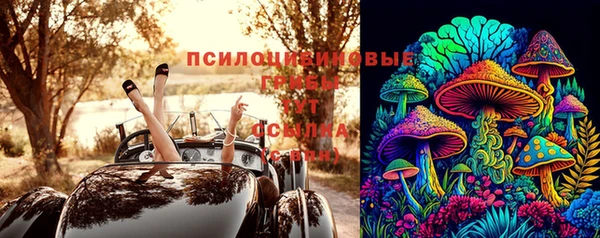 ГАЛЛЮЦИНОГЕННЫЕ ГРИБЫ Богородицк