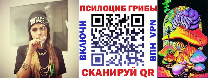 купить наркоту  Среднеуральск  Псилоцибиновые грибы GOLDEN TEACHER 