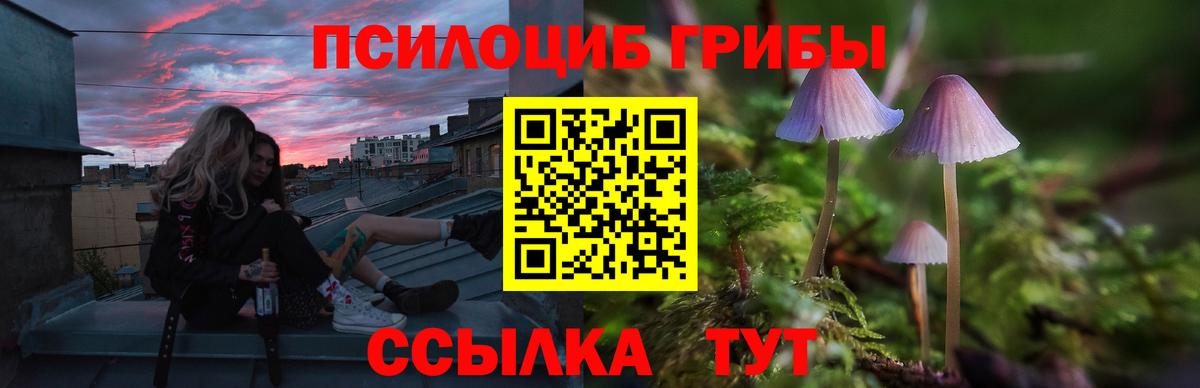Среднеуральск  Псилоцибиновые грибы прущие грибы  Вход с VPN 